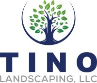 Tino Landscaping LLC image 1