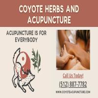 Coyote Herbs and Acupuncture image 1