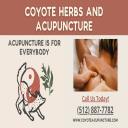 Coyote Herbs and Acupuncture logo