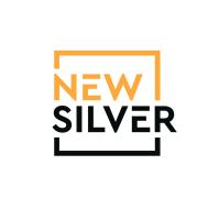 New Silver image 1