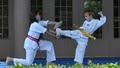 Xcel Martial Arts image 2