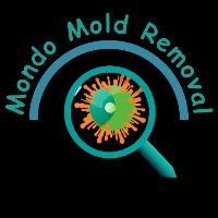 Dallas, TX - Mondo Mold Removal image 5