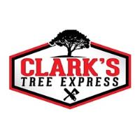 Clarks Tree Express image 4