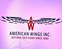 American Wings image 1