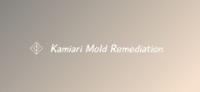 Kamiari Mold Remediation image 4