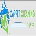 The Woodlands Carpet Cleaning Squad logo