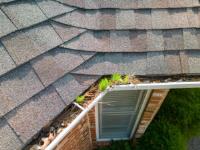 Gutter Cleaning U.S. - St. Louis image 2