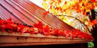 Gutter Cleaning U.S. - St. Louis image 3