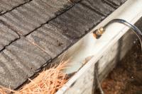 Gutter Cleaning U.S. - St. Louis image 5