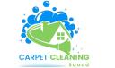 Scottsdale Carpet Cleaning Squad logo