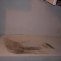 Dr Mold Removal Service image 2