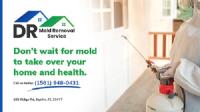 Dr Mold Removal Service image 1