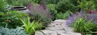 Tacoma Landscaping Company WA image 3