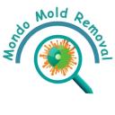 Wilmington, NC - Mondo Mold Removal logo
