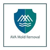 AVA Mold Removal image 2