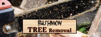 Bushmon Tree Removal LLC image 2