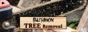 Bushmon Tree Removal LLC logo