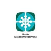 Davie Mold removal Prime image 3