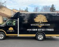 Quality Tree Care image 2