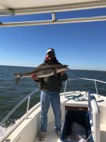 Mississippi Gulf Coast Fishing Charters image 3