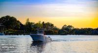 Mississippi Gulf Coast Fishing Charters image 6