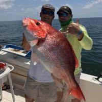 Mississippi Gulf Coast Fishing Charters image 7