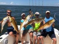 Mississippi Gulf Coast Fishing Charters image 9