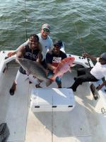 Mississippi Gulf Coast Fishing Charters image 10