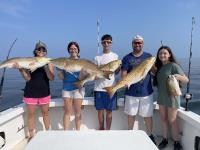 Mississippi Gulf Coast Fishing Charters image 23