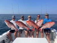 Mississippi Gulf Coast Fishing Charters image 31