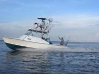 Mississippi Gulf Coast Fishing Charters image 35
