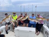 Mississippi Gulf Coast Fishing Charters image 36