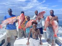 Mississippi Gulf Coast Fishing Charters image 30