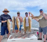 Mississippi Gulf Coast Fishing Charters image 49