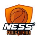 Ness Skills & Drills LLC logo