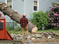 Johnny Appleseed Tree Service image 1