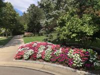 Chip's Landscaping Inc image 3