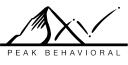 Peak Behavioral Services, LLC logo