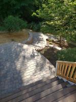 Premier Turf And Landscaping Inc image 3
