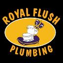 Royal Flush Plumbing of Doraville logo