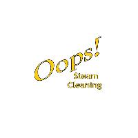 Oops Steam Cleaning image 1