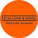 Stallone and Sons Pressure Washing logo