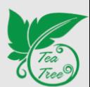 Tea Tree Massage Spa logo