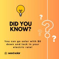 Seed Solar Denver image 11