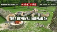 Norman OK Tree Removal image 1