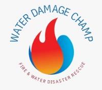 Water Damage Champ image 1