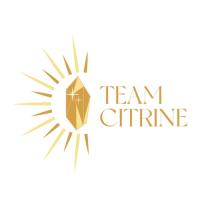 Team Citrine image 1