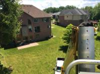 West Bloomfield Tree Service & Removal image 5