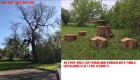 West Bloomfield Tree Service & Removal image 6