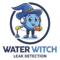 Water Witch Leak Detection image 1
